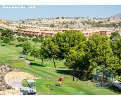 ALLURE ALENDA GOLF!