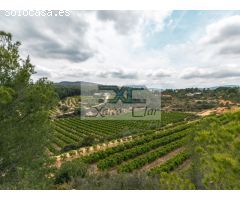 ESPECTACULAR CHALET EN URBANIZACIÓN LLOMA MOLINA, CATADAU