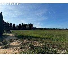 BAIX EMPORDÀ, PALS, CASA