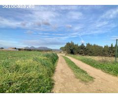 BAIX EMPORDÀ, PALS, CASA