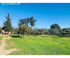 BAIX EMPORDÀ, FORALLAC, CASA