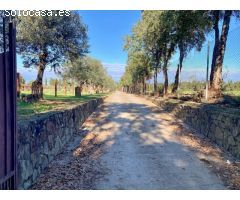 BAIX EMPORDÀ, FORALLAC, CASA