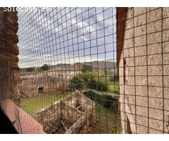 GIRONÈS, JUIÀ, MASIA