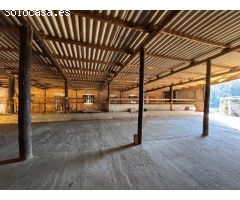 BAIX EMPORDÀ, PALAFRUGELL, MAS