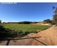 BAIX EMPORDÀ, PALAFRUGELL, MAS