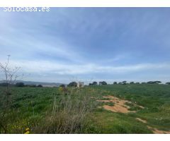 BAIX EMPORDÀ, PALAFRUGELL, TERRENOS