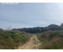 BAIX EMPORDÀ, PALAFRUGELL, TERRENOS