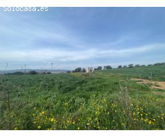 BAIX EMPORDÀ, PALAFRUGELL, TERRENOS