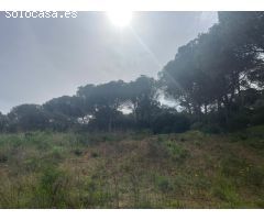 BAIX EMPORDÀ, PALAFRUGELL, TERRENOS