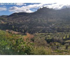FINCA RUSTICA EN SELLA, ALICANTE !!!