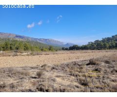 FINCA RÚSTICA EN TÉRMINO DE MONÓVAR.