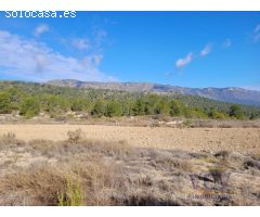 FINCA RÚSTICA EN TÉRMINO DE MONÓVAR.
