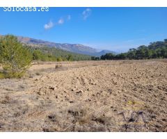 FINCA RÚSTICA EN TÉRMINO DE MONÓVAR.