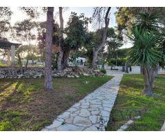 Parcela residencial, industrial, dotacional en Alicante.