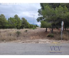 FINCA RÚSTICA EN MONÓVAR, ALICANTE!!!!