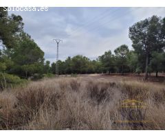 FINCA RÚSTICA EN MONÓVAR, ALICANTE!!!!