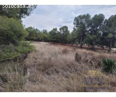 FINCA RÚSTICA EN MONÓVAR, ALICANTE!!!!