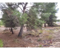 FINCA RÚSTICA EN MONÓVAR, ALICANTE!!!!
