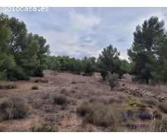 FINCA RÚSTICA EN MONÓVAR, ALICANTE!!!!