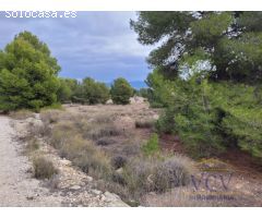FINCA RÚSTICA EN MONÓVAR, ALICANTE!!!!
