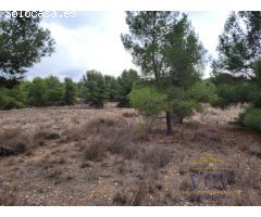 FINCA RÚSTICA EN MONÓVAR, ALICANTE!!!!