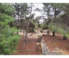 FINCA RÚSTICA EN MONÓVAR, ALICANTE!!!!
