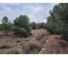 FINCA RÚSTICA EN MONÓVAR, ALICANTE!!!!