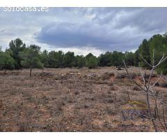FINCA RÚSTICA EN MONÓVAR, ALICANTE!!!!