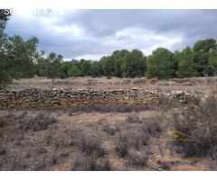 FINCA RÚSTICA EN MONÓVAR, ALICANTE!!!!