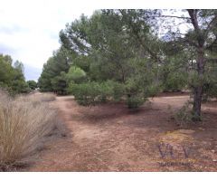 FINCA RÚSTICA EN MONÓVAR, ALICANTE!!!!