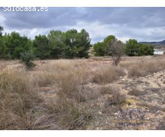 FINCA RÚSTICA EN MONÓVAR, ALICANTE!!!!