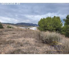 FINCA RÚSTICA EN MONÓVAR, ALICANTE!!!!