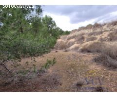 FINCA RÚSTICA EN MONÓVAR, ALICANTE!!!!