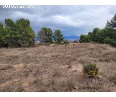 FINCA RÚSTICA EN MONÓVAR, ALICANTE!!!!