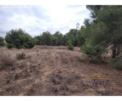 FINCA RÚSTICA EN MONÓVAR, ALICANTE!!!!