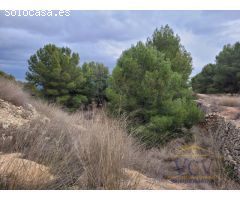 FINCA RÚSTICA EN MONÓVAR, ALICANTE!!!!