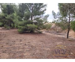 FINCA RÚSTICA EN MONÓVAR, ALICANTE!!!!