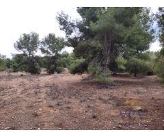 FINCA RÚSTICA EN MONÓVAR, ALICANTE!!!!