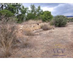 FINCA RÚSTICA EN MONÓVAR, ALICANTE!!!!