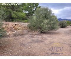 FINCA RÚSTICA EN MONÓVAR, ALICANTE!!!!