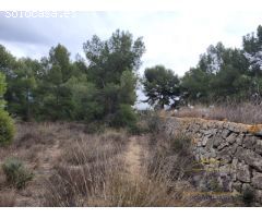 FINCA RÚSTICA EN MONÓVAR, ALICANTE!!!!