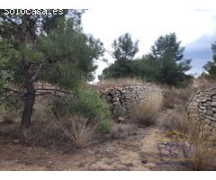 FINCA RÚSTICA EN MONÓVAR, ALICANTE!!!!