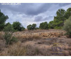 FINCA RÚSTICA EN MONÓVAR, ALICANTE!!!!