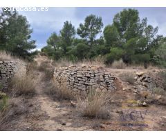 FINCA RÚSTICA EN MONÓVAR, ALICANTE!!!!