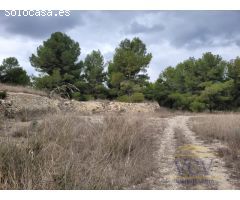 FINCA RÚSTICA EN MONÓVAR, ALICANTE!!!!