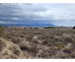 FINCA RÚSTICA EN MONÓVAR, ALICANTE!!!!