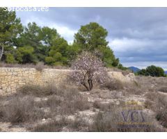 FINCA RÚSTICA EN MONÓVAR, ALICANTE!!!!