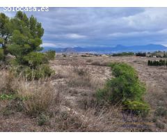 FINCA RÚSTICA EN MONÓVAR, ALICANTE!!!!