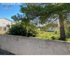 Parcela totalmente plana para construir un chalet a su medida