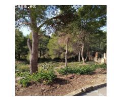 Chalet en venta con piscina y parcela !!!